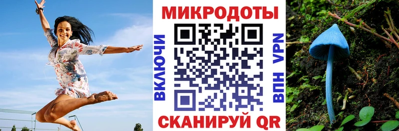 Псилоцибиновые грибы Cubensis  Медынь 